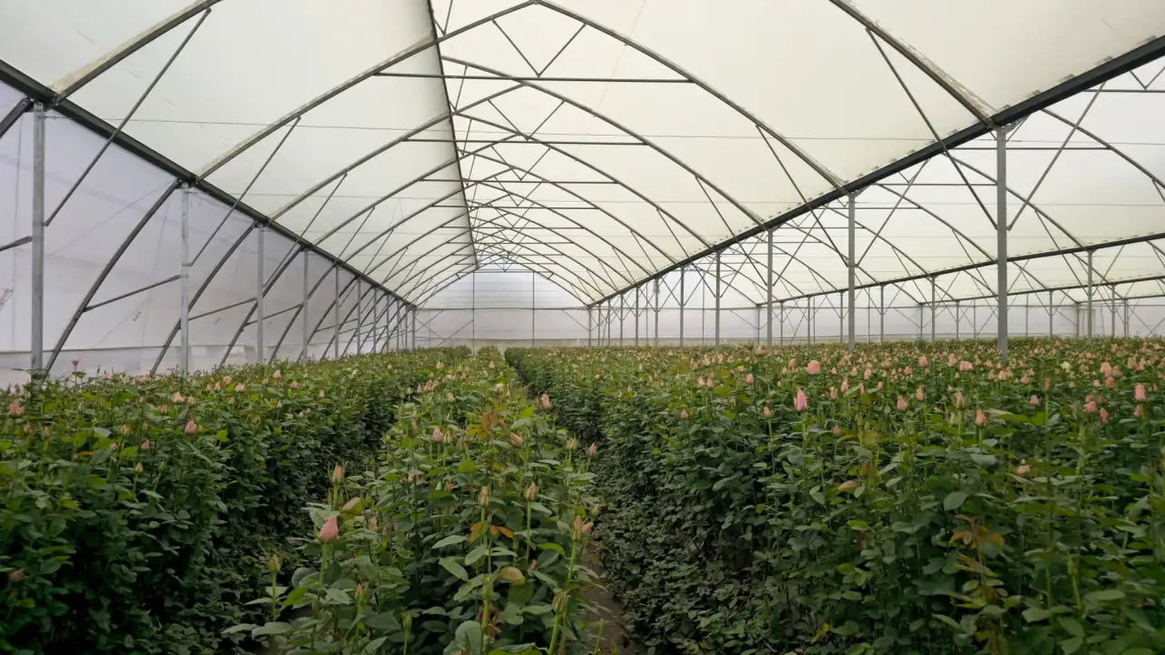 新型管材在暖通设备系统中的应用优势及选型指南