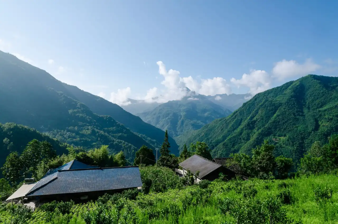 暖气片与通风管道协同设计在建筑采暖工程中的技术要点